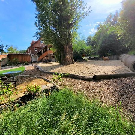 Pferdehof Am Burgsberg, Ferienzimmer, Monteurzimmer Seifhennersdorf 外观 照片